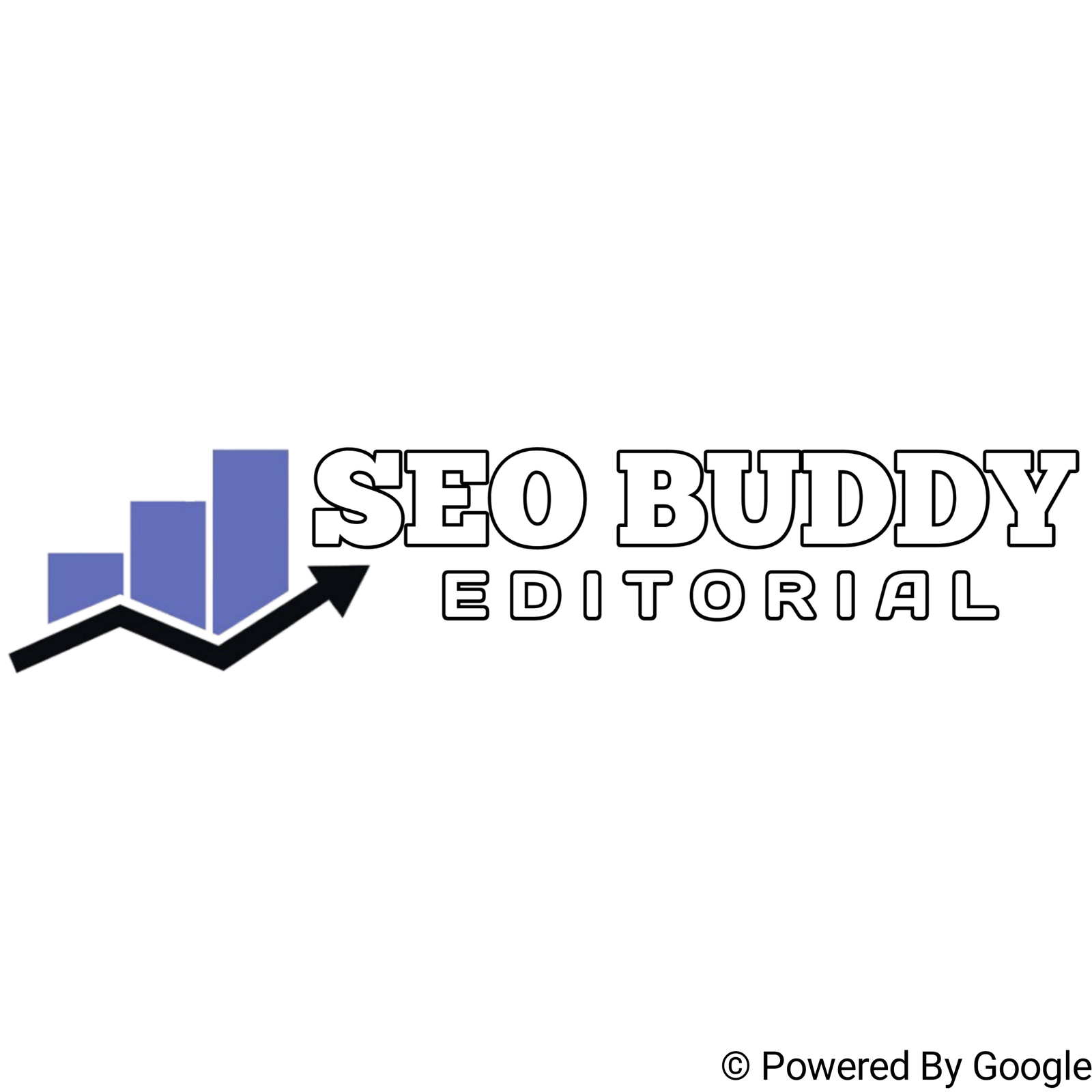 The Best SEO Provider 2025 – SEO BuddY Editorial Ltd.